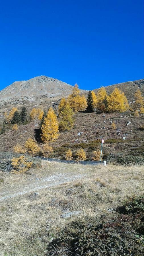 Apartamento Balcone Sulle Dolomiti 2 Dosoledo Exterior foto