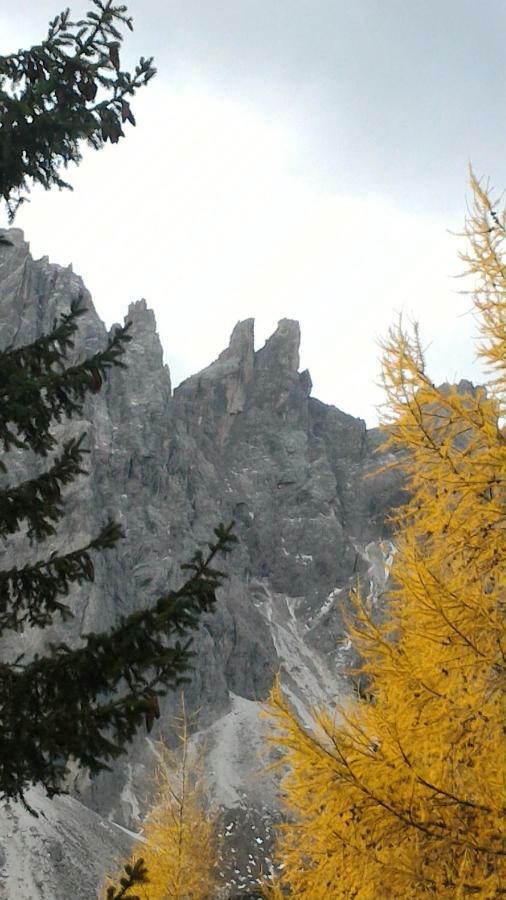 Apartamento Balcone Sulle Dolomiti 2 Dosoledo Exterior foto