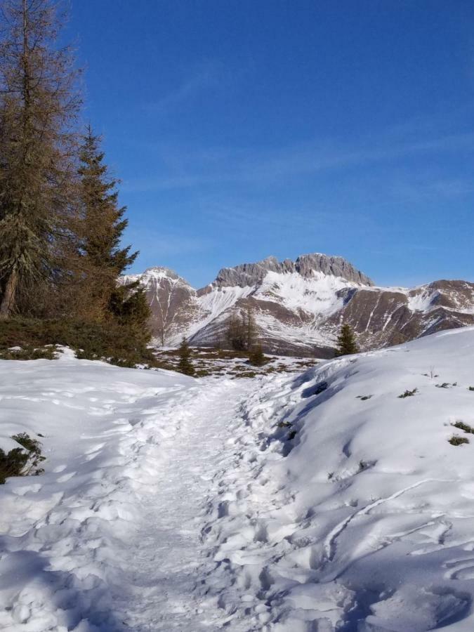 Apartamento Balcone Sulle Dolomiti 2 Dosoledo Exterior foto